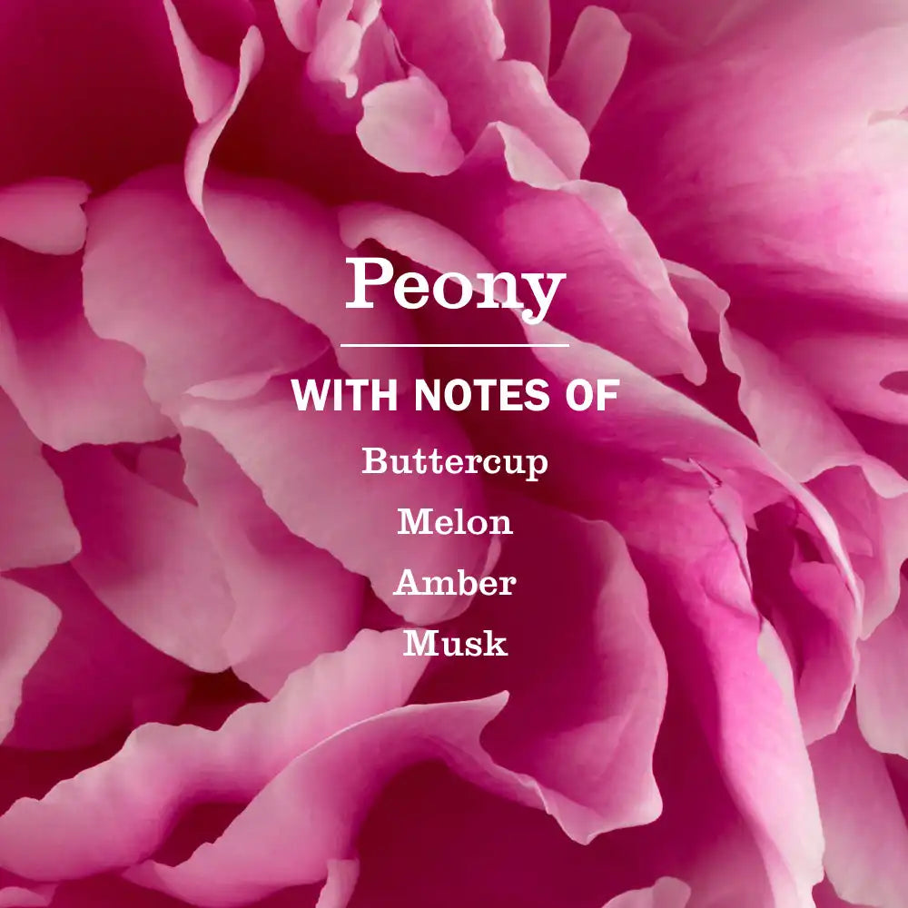 Peony Dish Soap Refill