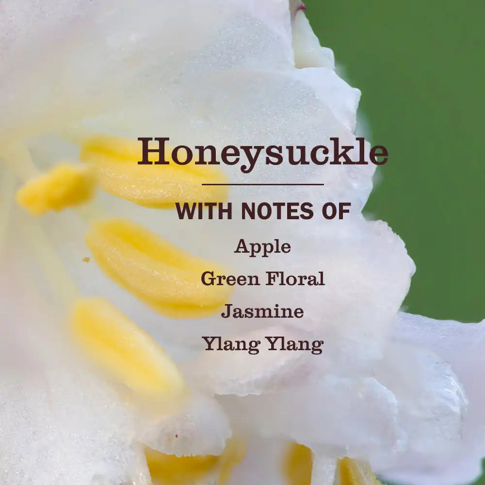 Honeysuckle Multi-Surface Everyday Cleaner