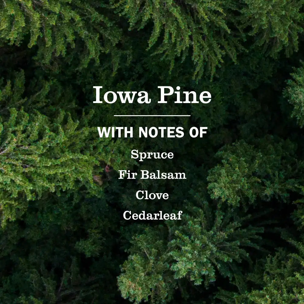 Iowa Pine Dish Soap 3-count Bundle