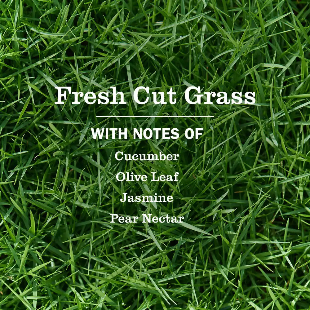 Fresh Cut Grass Liquid Hand Soap 3-count Bundle